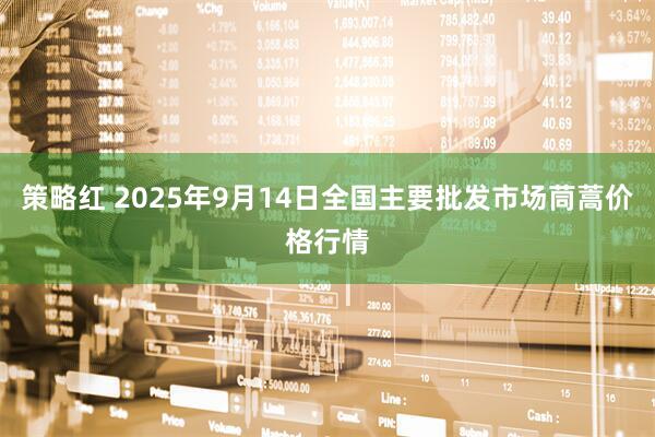 策略红 2025年9月14日全国主要批发市场茼蒿价格行情