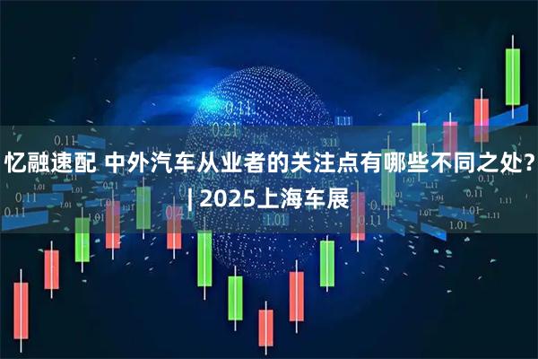 忆融速配 中外汽车从业者的关注点有哪些不同之处？| 2025上海车展