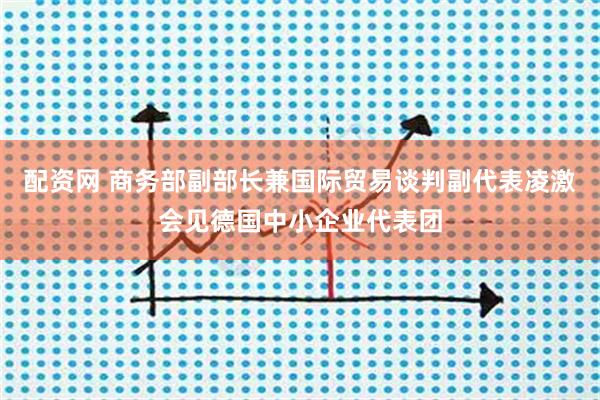 配资网 商务部副部长兼国际贸易谈判副代表凌激会见德国中小企业代表团