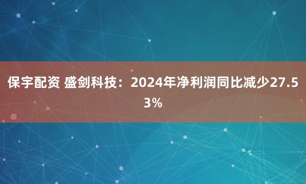 保宇配资 盛剑科技：2024年净利润同比减少27.53%